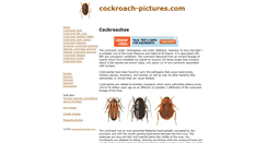 Desktop Screenshot of cockroach-pictures.com