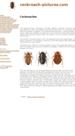 Mobile Screenshot of cockroach-pictures.com
