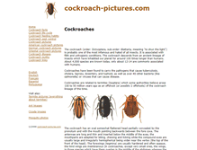 Tablet Screenshot of cockroach-pictures.com